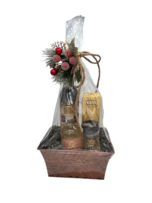 Regina 500 Gift Set